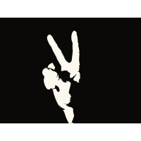 Hollywood Independent LLC logo - Similar company to Hollywood Independent Music Awards