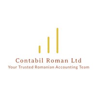 Contabil Roman Ltd logo - Similar company to Faversham Solutions