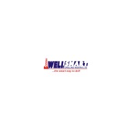 WELLSMARTDRILLING logo - Similar company to Megadrill Nigeria