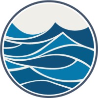 Dataflow Informatics LLC logo - Similar company to Bowstring It