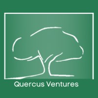 QUERCUS VENTURES - boutique de consultoría logo - Similar company to Petground