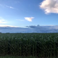 Patterson Farms logo - Similar company to Patterson Farm