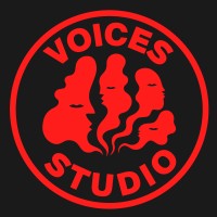 Voices Studio logo - Similar company to Froth Distribution Ltd