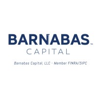 Barnabas Capital, LLC logo - Similar company to Andiron