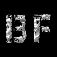 Big Fellows Property Solutions logo - Similar company to The Munson Restaurant Group