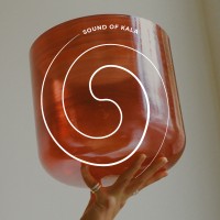 Sound Of Kala | Certified Music Therapist & Corporate Wellness Facilitator logo - Similar company to Conscious Solutions