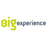 BIG EXPERIENCE - Formação & Coaching logo - Similar company to B-Training Consulting