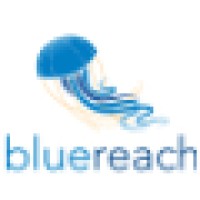 Bluereach
