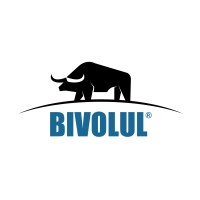 Bivolul logo - Similar company to Team Lost Ab