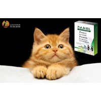 Pet department of Lachance Group logo - Similar company to Lachance Southeast Asia - Animal Nutrition