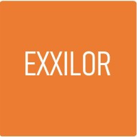Exxilor Srl logo - Similar company to Silken Srl