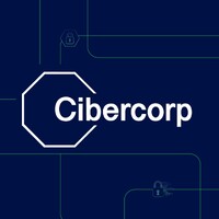 Cibercorp | Ciberseguridad logo - Similar company to Shenzhen Iboard Technology Co.,Ltd.