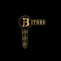 BITNOU logo - Similar company to Cryptosmart Community