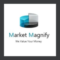 Market Magnify Investment Adviser & Research Pvt. Ltd. logo - Similar company to Zoid Research