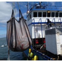 Seattle Tarp Co Inc