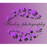 Hayley Harley Photography logo - Similar company to Dot Create