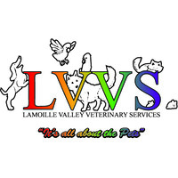 Lamoille Valley Veterinary Services