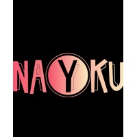 Nayku Online Services logo - Similar company to Infast Networks