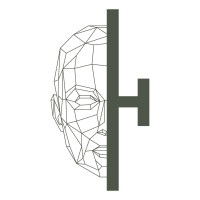 H-SYDE logo - Similar company to Kuik Fast Solution