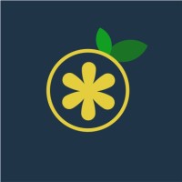 limoo Shirin Digital Marketing Agency logo - Similar company to Platin Communication And Marketing Agency
