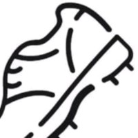 FootRevo logo - Similar company to Daryse