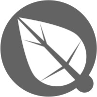 QSoft Technologies logo - Similar company to Firstidea
