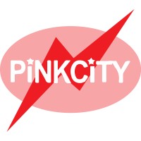 Pink City Group Of Companies logo - Similar company to Paykosh