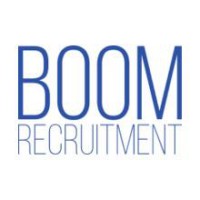 BOOM RECRUITMENT GROUP LTD logo - Similar company to Employmentboom!