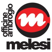 Officine Ambrogio Melesi & C. Srl logo - Similar company to Atv - Advanced Technology Valve