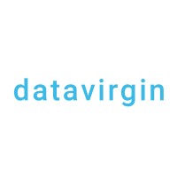 Datavirgin logo - Similar company to Esoft Links