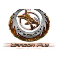 Dragon Fly parachutisme logo - Similar company to Accel'Air Parachutisme