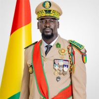 Président Mamadi Doumbouya logo - Similar company to Examed Services