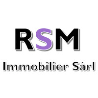 RSM Immobilier Sàrl logo - Similar company to Ahti Consulting