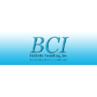 Birkhofer Consulting, Inc.
