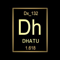 Dhatu Design Studio logo - Similar company to Digital Advancers
