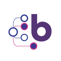Bazical Data Academy logo - Similar company to Imagunet
