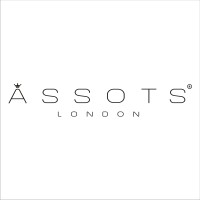 ASSOTS. LIMITED logo - Similar company to Accessory Heaven