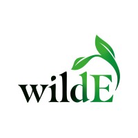 wildE logo - Similar company to Wildfuture