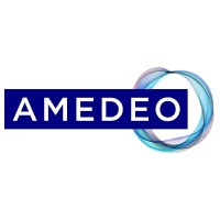 Amedeo logo - Similar company to Mcq Advisory Llc