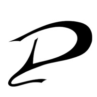 Pytoncase logo - Similar company to Fo Group