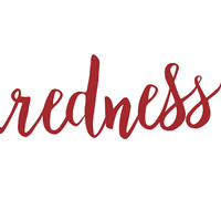 REDNESS logo - Similar company to M Pluz Interior Design