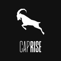 Caprise logo - Similar company to Capraise