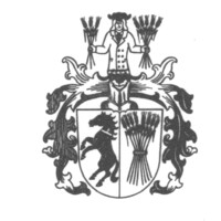 Janik Management Consulting logo - Similar company to N+1 Designs
