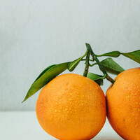 Fruterías Frescas logo - Similar company to O Percebeiro