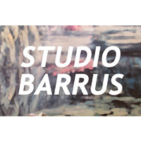 Studio Barrus logo - Similar company to Elementarchitecten