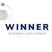 Winner Business Intelligence logo - Similar company to Plugapps