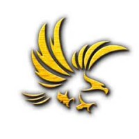 IBNESINA PHARMA logo - Similar company to Global Pharma