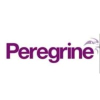 peregrine guarding logo - Similar company to Peregrine Guarding