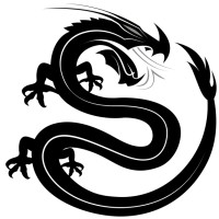 Black Dragon Capital logo - Similar company to Transition Vc