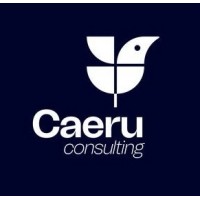 Caeru Consulting logo - Similar company to Wap Comunicação Integrada